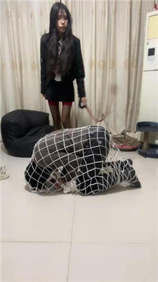 图片[4]-【苏西】重刑-把狗装网里重度虐打-绳艺资料库